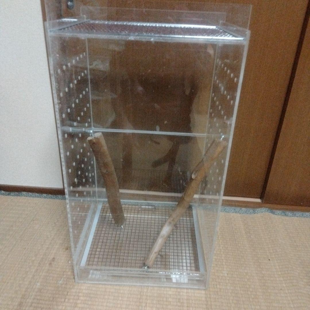 モモンガ用　アクリルケージ