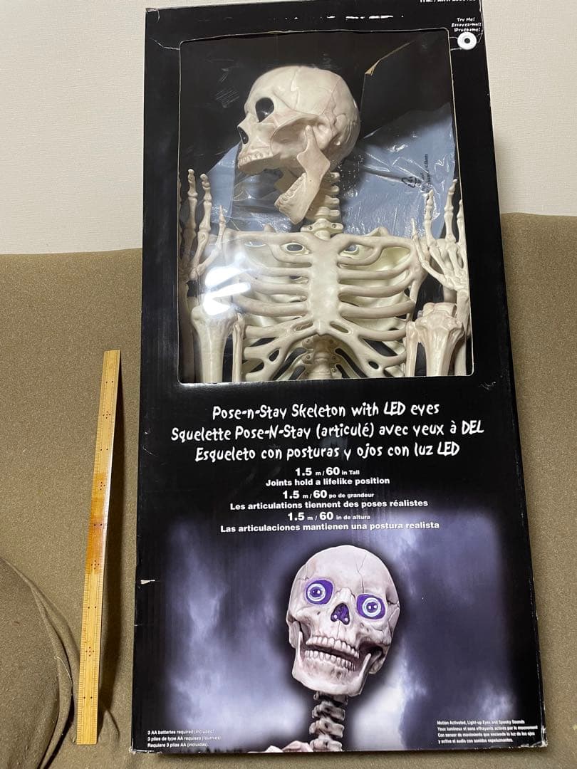 【デカすぎ！】ガイコツ　ハロウィン　人体模型　骨　ハロウィン　150cm