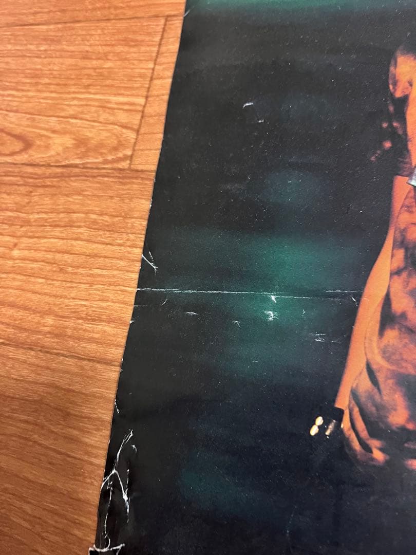 スピッツ ハヤブサ ポスター