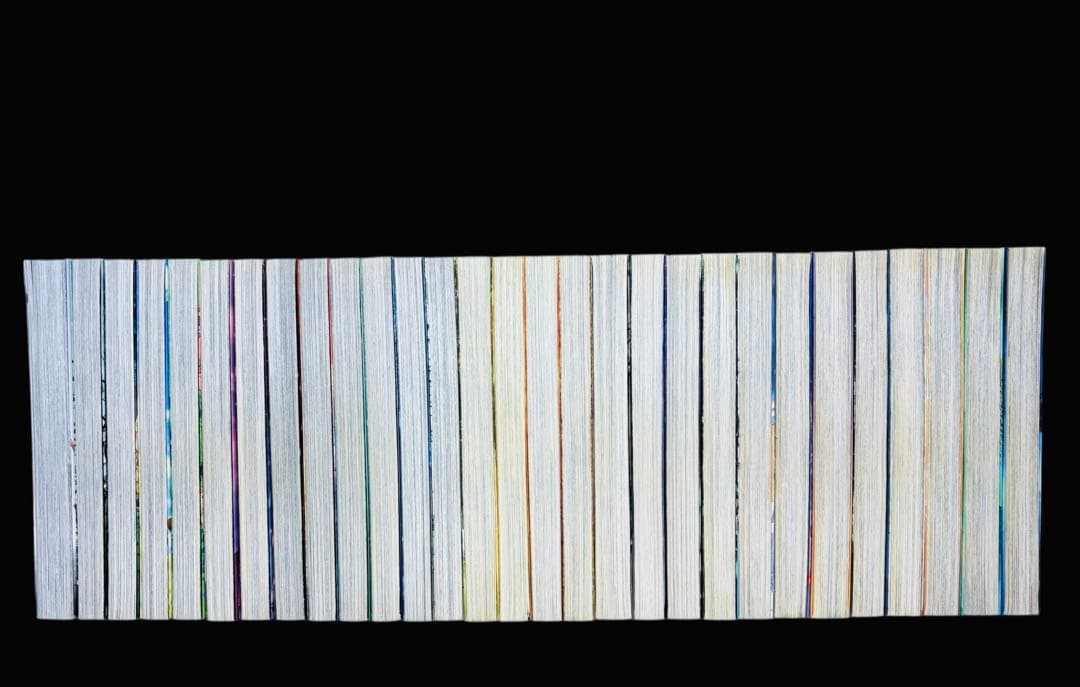 【全巻セット】ヴィンランド・サガ 1-29巻(完結)/幸村誠