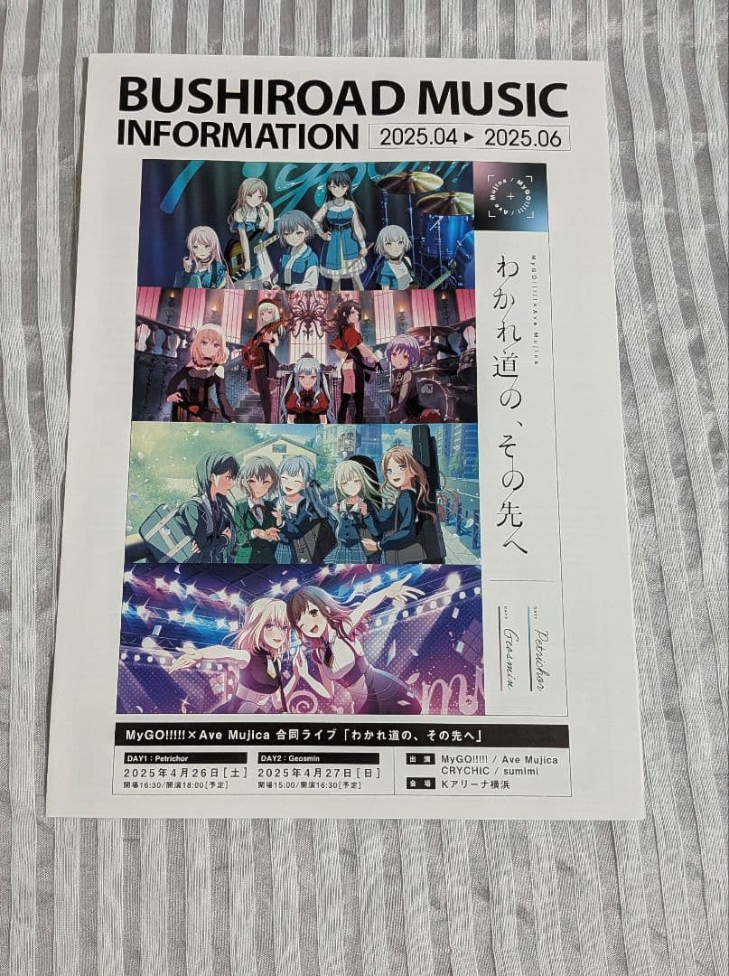 ブシロードインフォメーション 分かれ道のその先へ