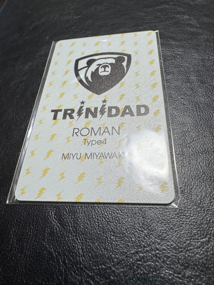 トリニダード ローマン4 ダーツライブカード 宮脇実由