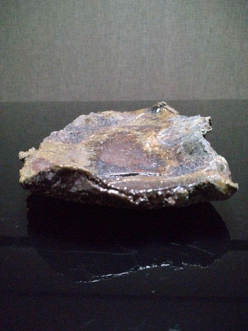 【備前焼 窯変長皿】伝統工芸士 森本 桂／送料込み！