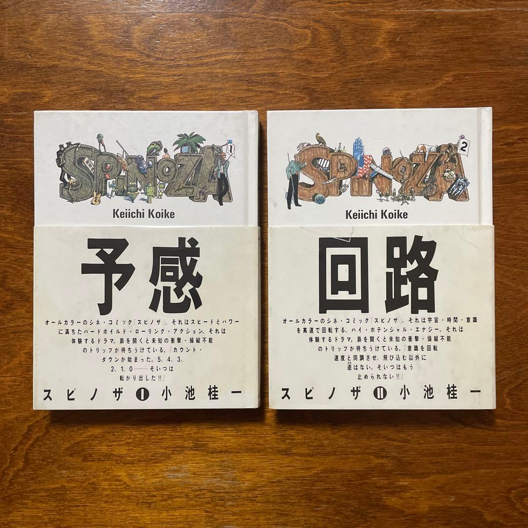 小池桂一　スピノザ　全2冊