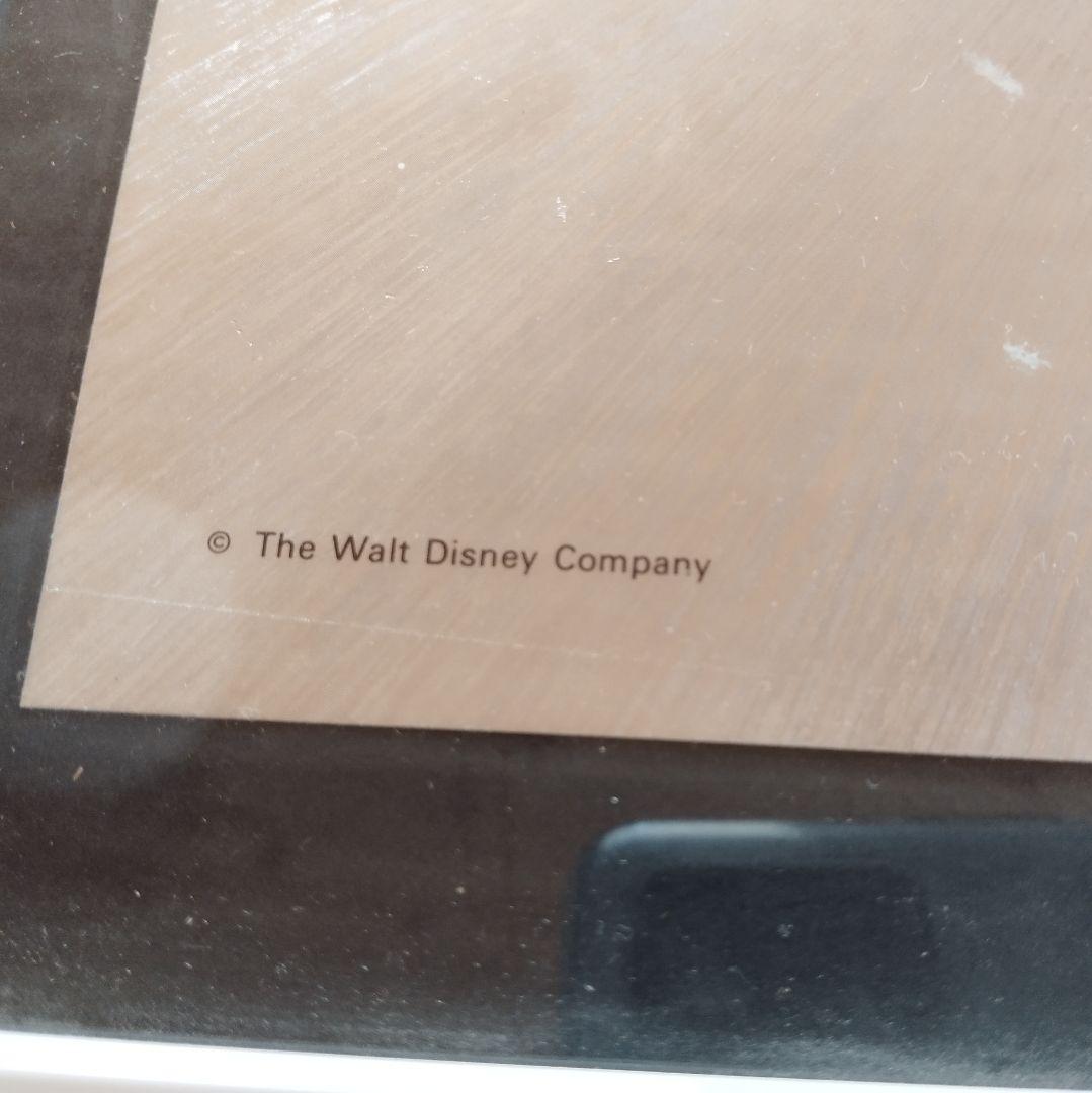 THE WOLT DISNEY COMPANY エッチングアート アルミアート