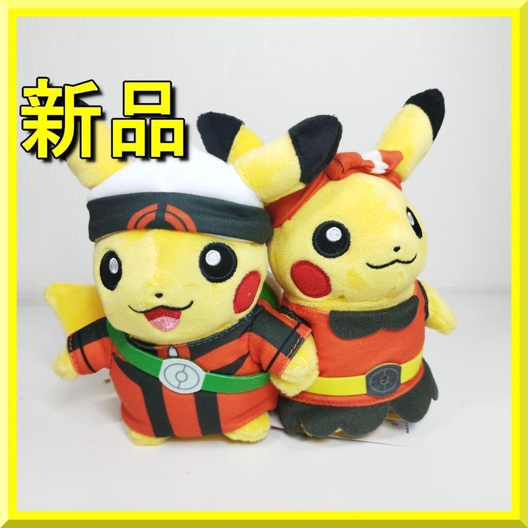 ピカチュウ 25周年 ホウエン地方 ぬいぐるみ ペア ポケモンセンター hIS6