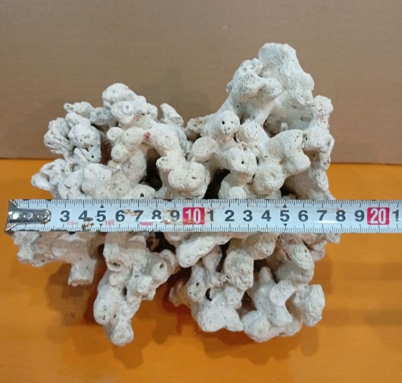 天然ライブロック　デスロック　アクアリウム　白化サンゴ　ハンドメイド