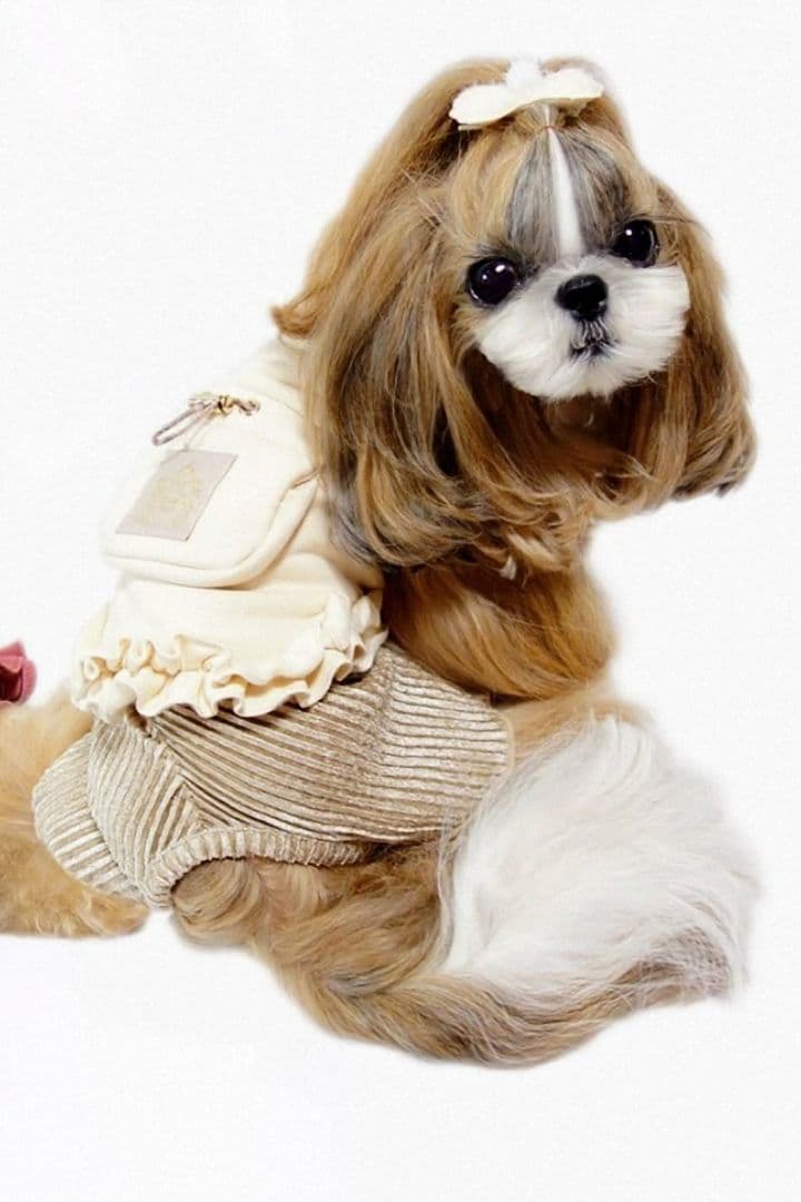 新品トップス＆インナーパンツcircuscircusサーカスサーカス