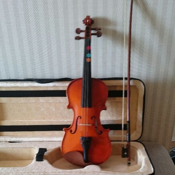 ❤バイオリン❤８分の１