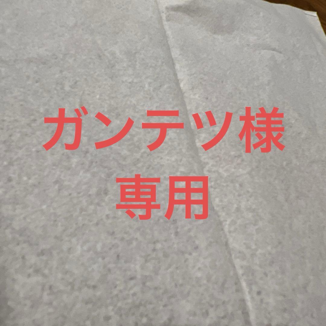 聖霊龍王 メルヴェイユ サインシークレット