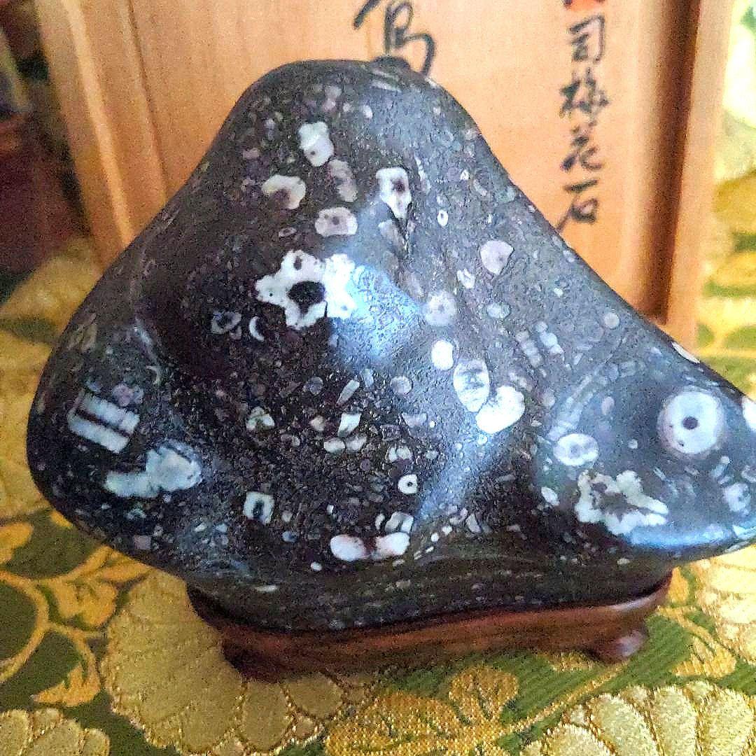 【最終価格】梅花石　銘、鶯の宿　梅の里　日本愛石館館長　小森宗閑翁