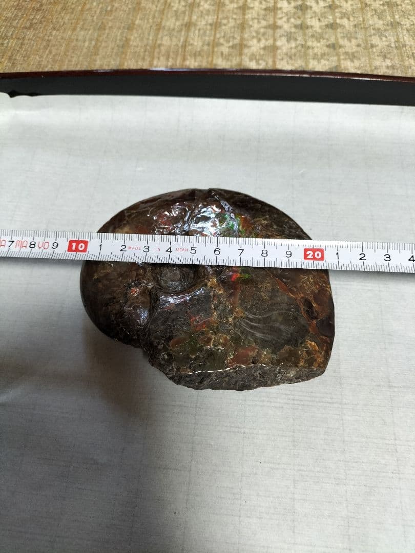 アンモライト原石