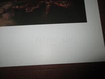 コレクション neon park midnight train to ia