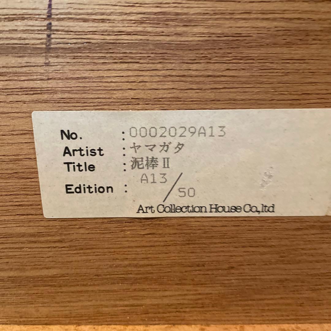 ✴︎ヒロヤマガタ✴︎ 泥棒　13/50