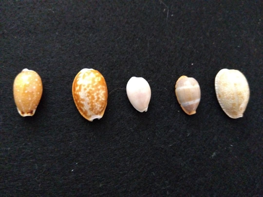 Narita様 リクエスト 7点 まとめ商品