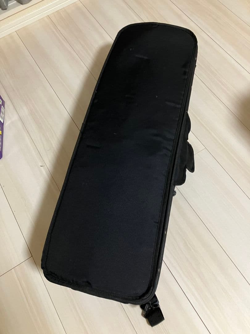 チェコ製 バイオリン 4/4 Dvorak ケース付き