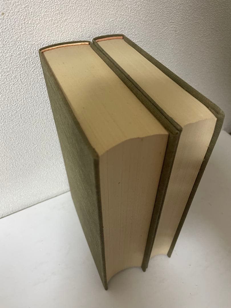 超希少 荷風全集 全29巻 岩波書店版 永井壮吉（荷風） ➕考證 荷風 秋庭太郎