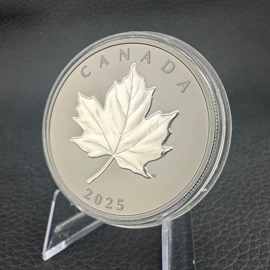 カナダ エレガントメイプルリーフ 銀貨 ブラックロジウム 艶消しプルーフ 保証書