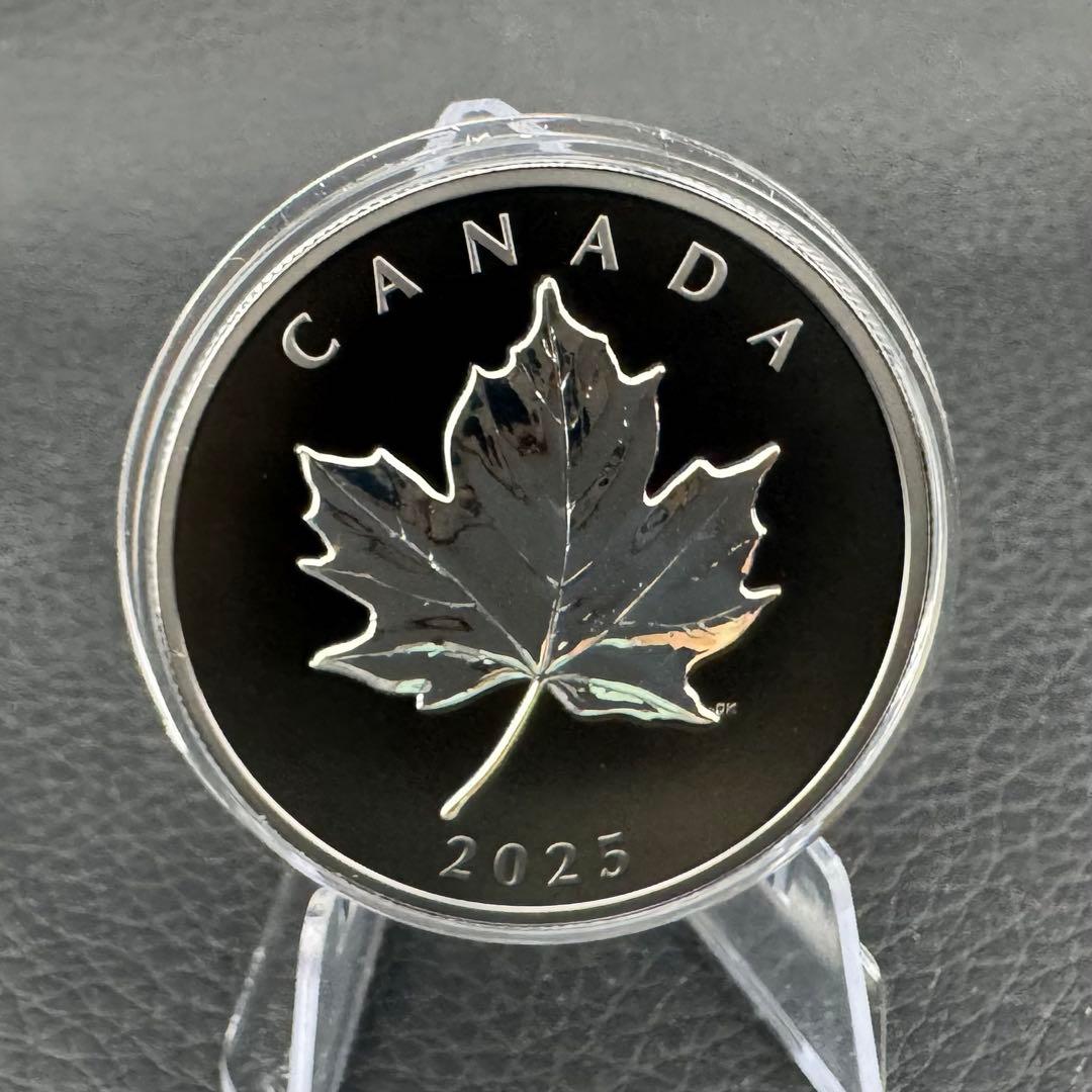カナダ エレガントメイプルリーフ 銀貨 ブラックロジウム 艶消しプルーフ 保証書