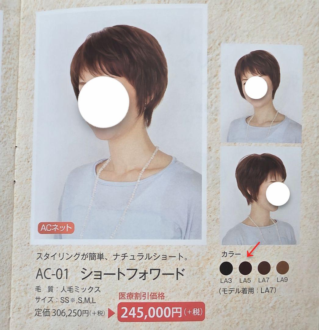 アートネイチャー アンクス AC01 LA5 医療用ショートウィッグ Sサイズ