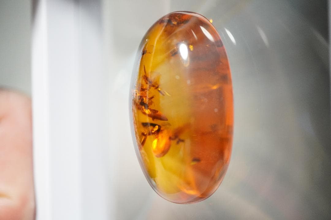 天然　琥珀　特大45ｃｔオーバー　虫入り