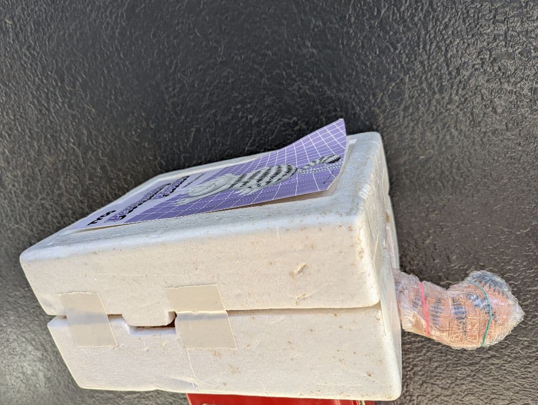 【ガーフィルド、超レア壁掛け電話機(ジャンク品)】1981 米国買付け 中古美品