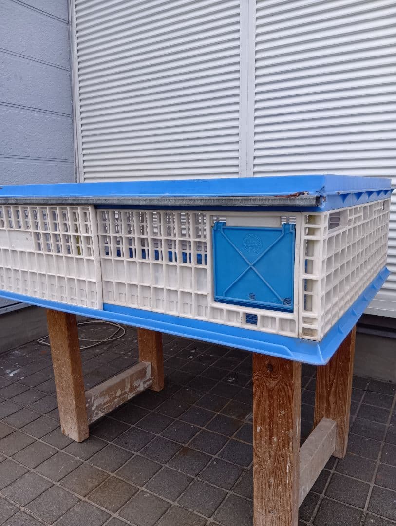 放鳩籠　コンテナ　レース鳩　移送　搬送　輸送　コンテナー　キャディー　愛鳩の友