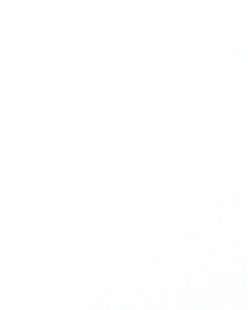 専用　トレカセット