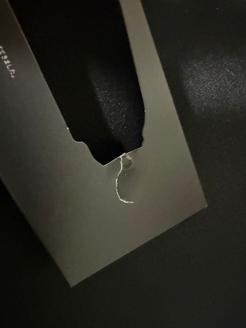 Nobby ストレート ヘア アイロン NBS1200