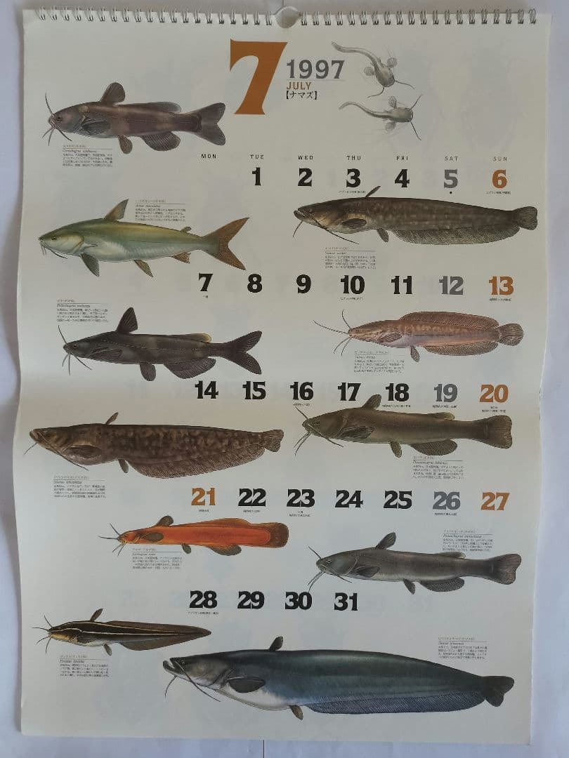 BE-PAL ビーパル カレンダー 新品未使用 1997年　ヴィンテージ