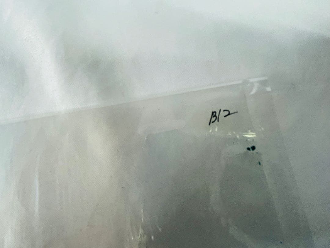 t*3様 マクロスシリーズ　セル画6点 劇場版 マクロスF