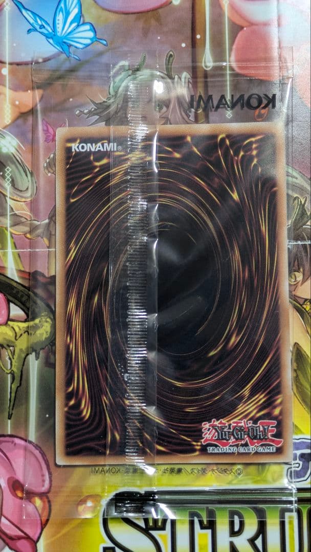 遊戯王OCG デュエルモンスターズ Dragon of illumination,Sanctuary'sShield