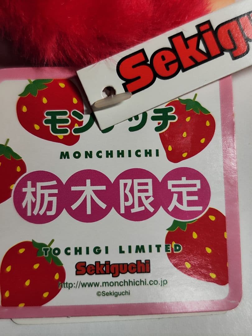 限定品モンチッチ 山梨モンチッチ 群馬限定 富士山モンチッチ 栃木モンチッチ