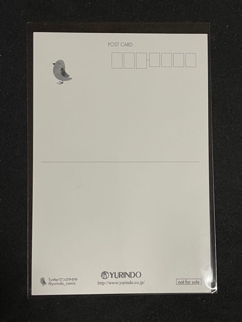 聖闘士星矢 セインティア翔［5巻］有隣堂特典 ポストカード 非売品 沙織