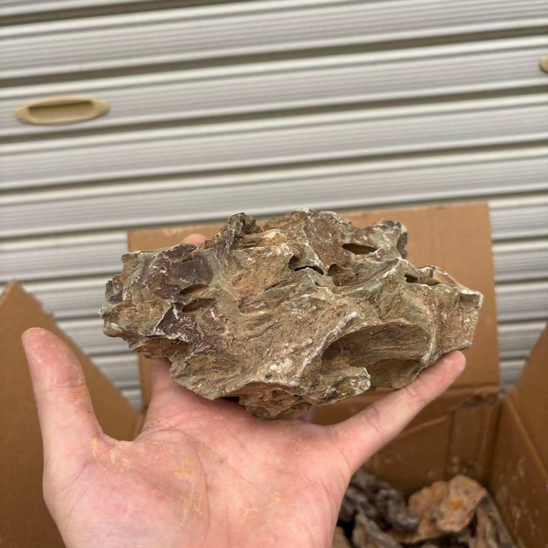 気孔石 10-15cm 15kg ks-10-15-15k