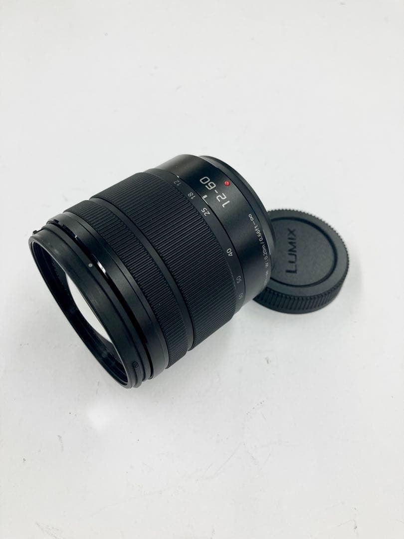 レンズ(ズーム) Panasonic LUMIX G VARIO 12-60mm F3.5-5.6