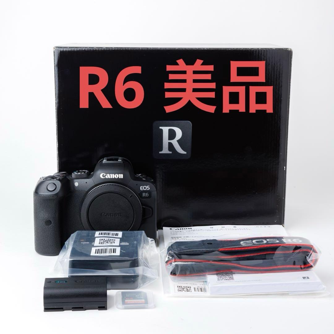 Canon EOS R6 ミラーレス一眼 SDカード付き
