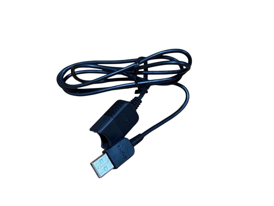 ビデオカメラ SONY FDR-AX30