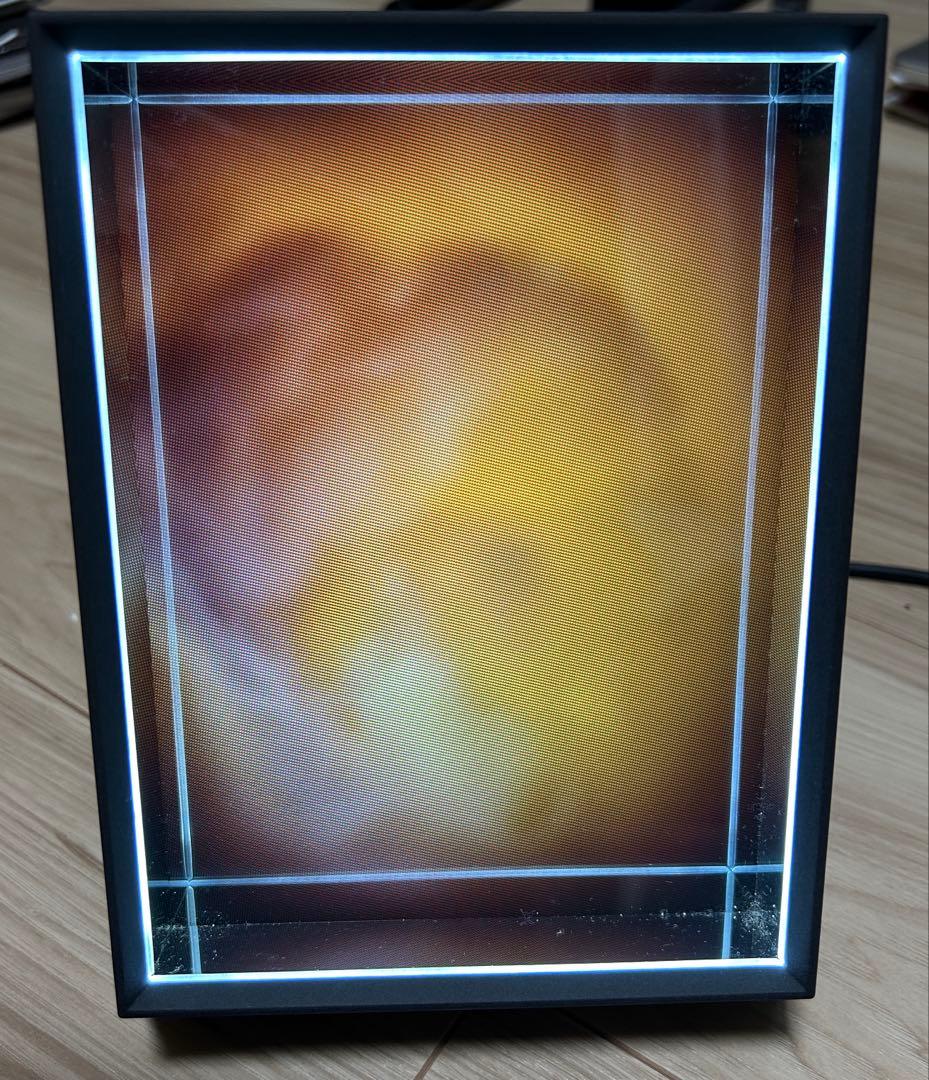 ディスプレイ・モニター本体 Looking Glass Portrait