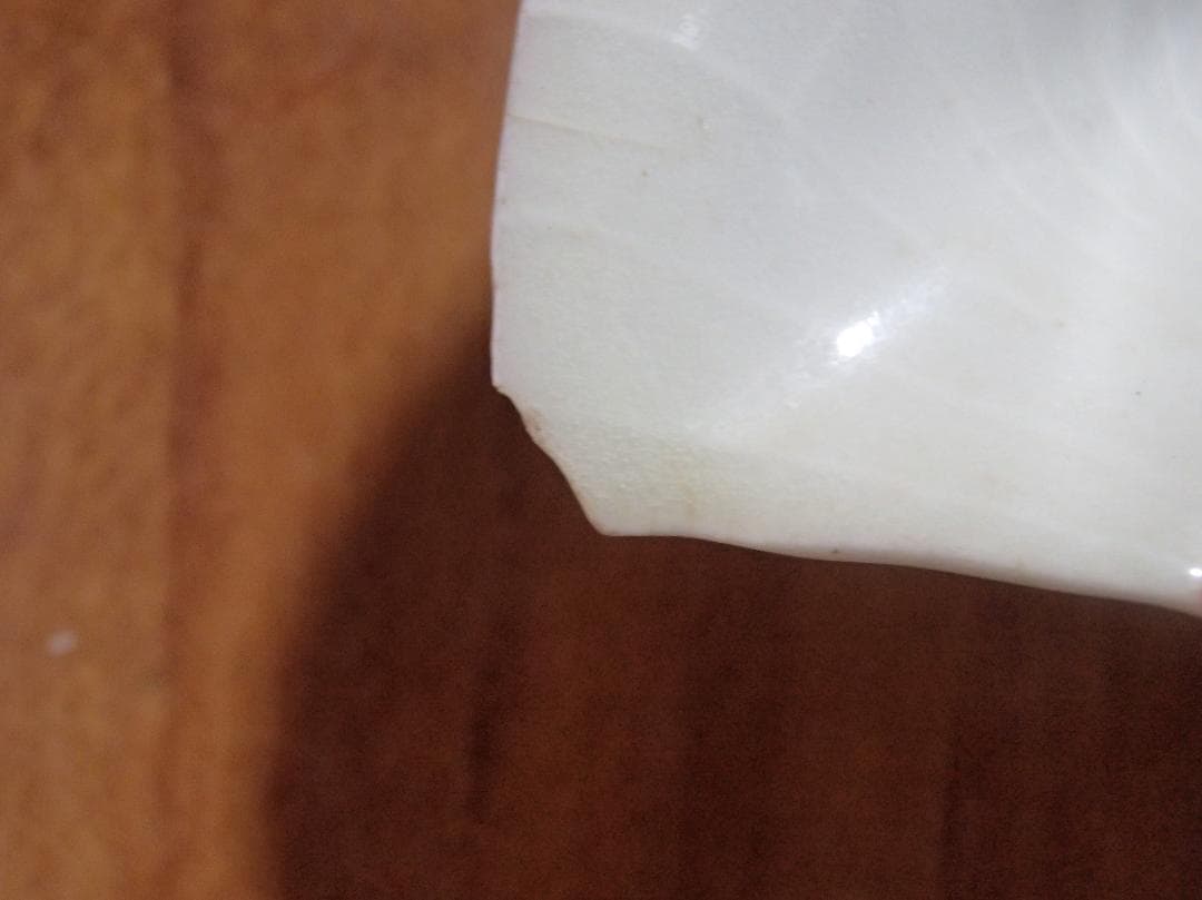 色絵　平貝形　小皿　古九谷　骨董