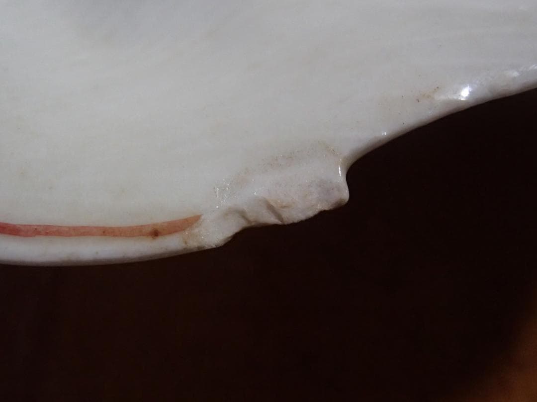 色絵　平貝形　小皿　古九谷　骨董