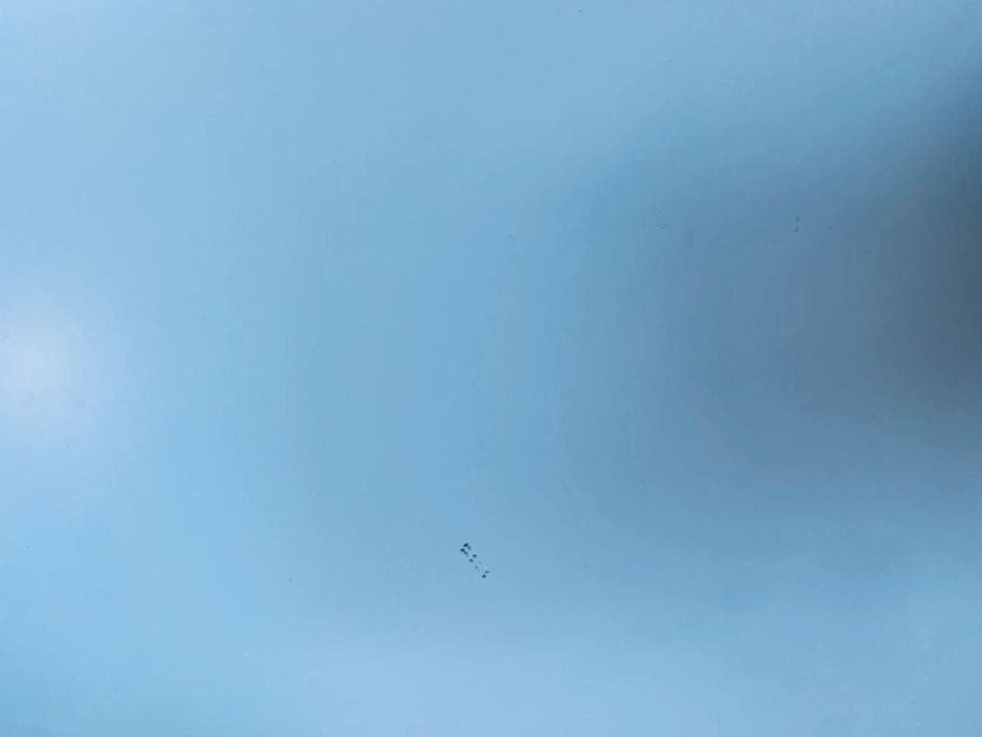 一✅SHARPノンフロン冷凍冷蔵庫✅送料設置無料 ✅SJ-GX50D-W✅