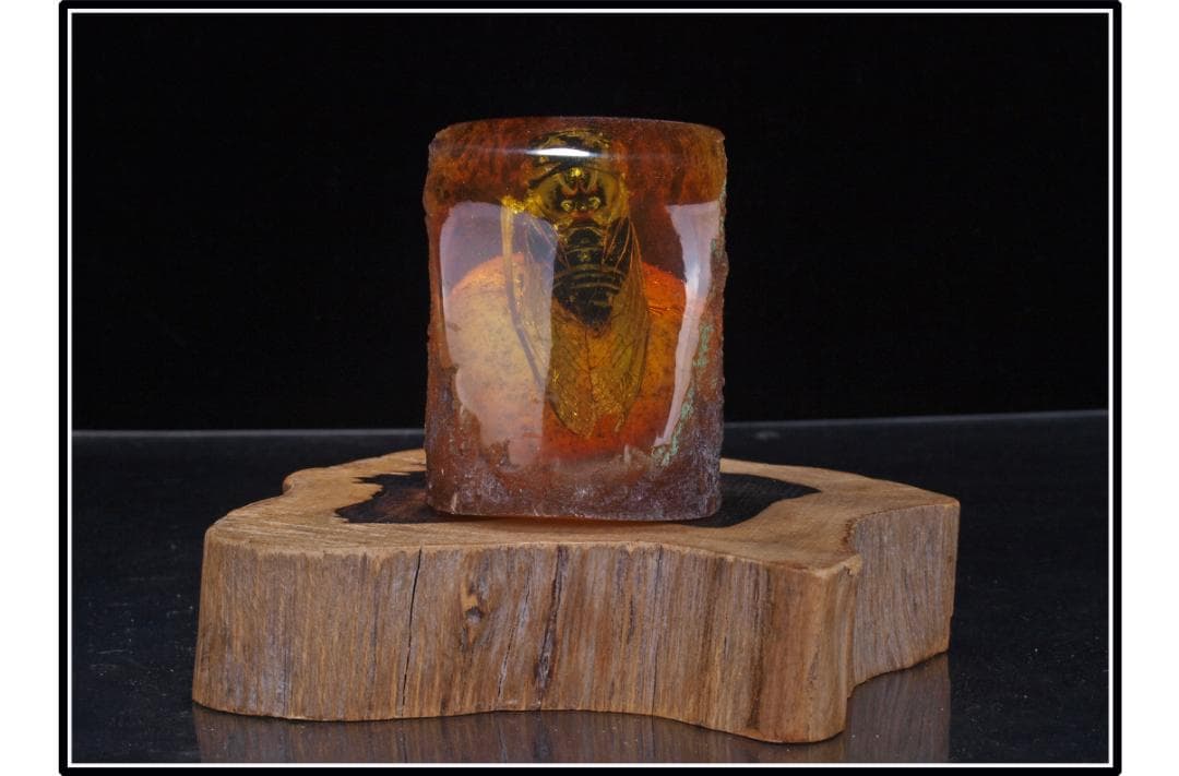 中国時代の化石　天然琥珀サソリ※骨董品 古美術 DE1649D4-2