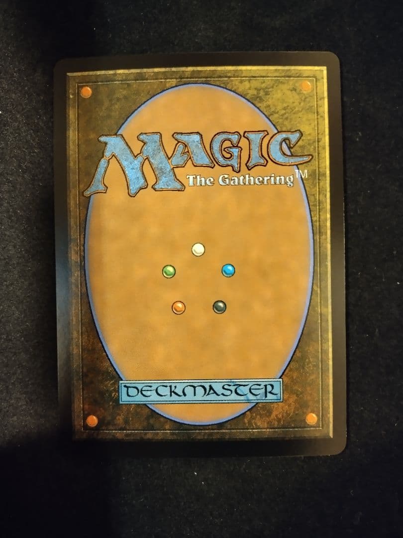 光輝の睡蓮　英語　Radiant Lotus