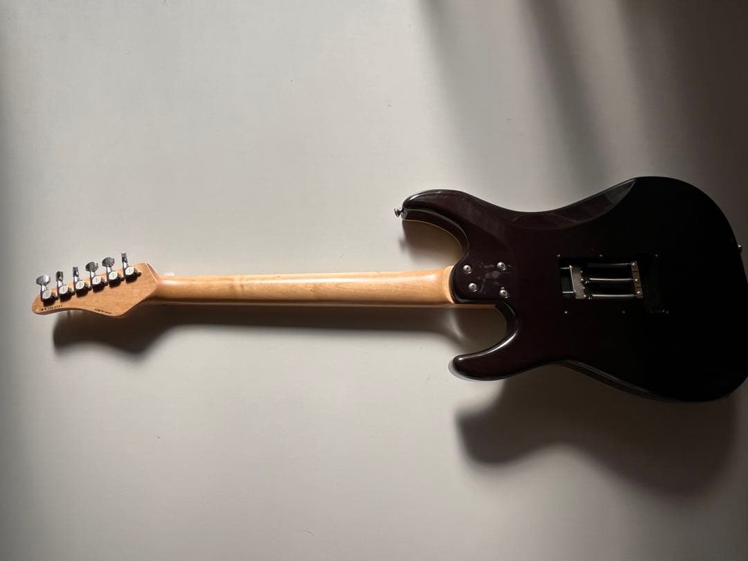 ム*店様 Schetcher エレキギター ブラック