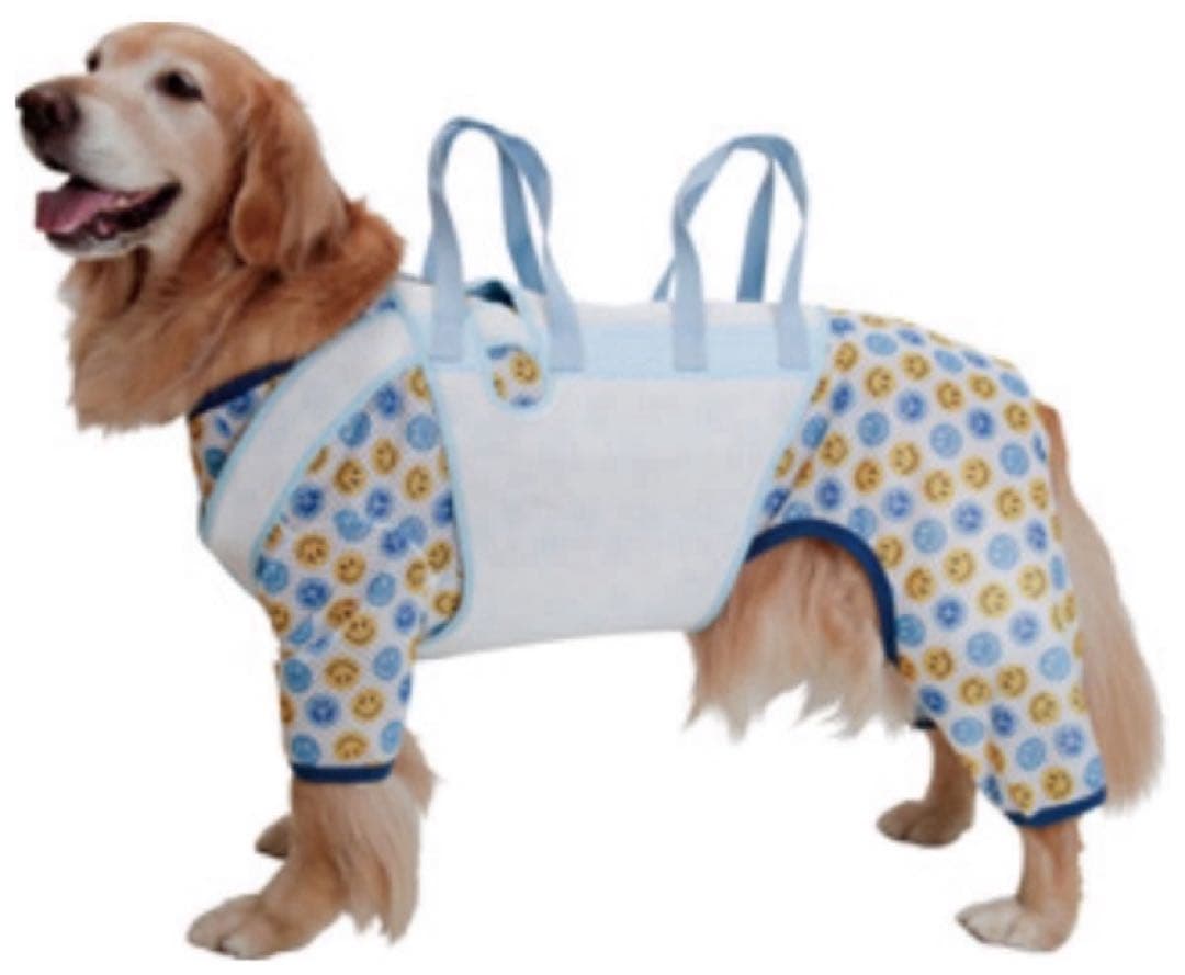 アイアンバロン　介護用ハーネス　サイズS 着用少ない　犬介護　かわいい水色です