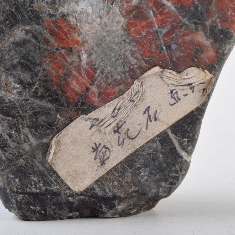 天然石　鑑賞石　菊花石　置物　重さ約111g　N　8996