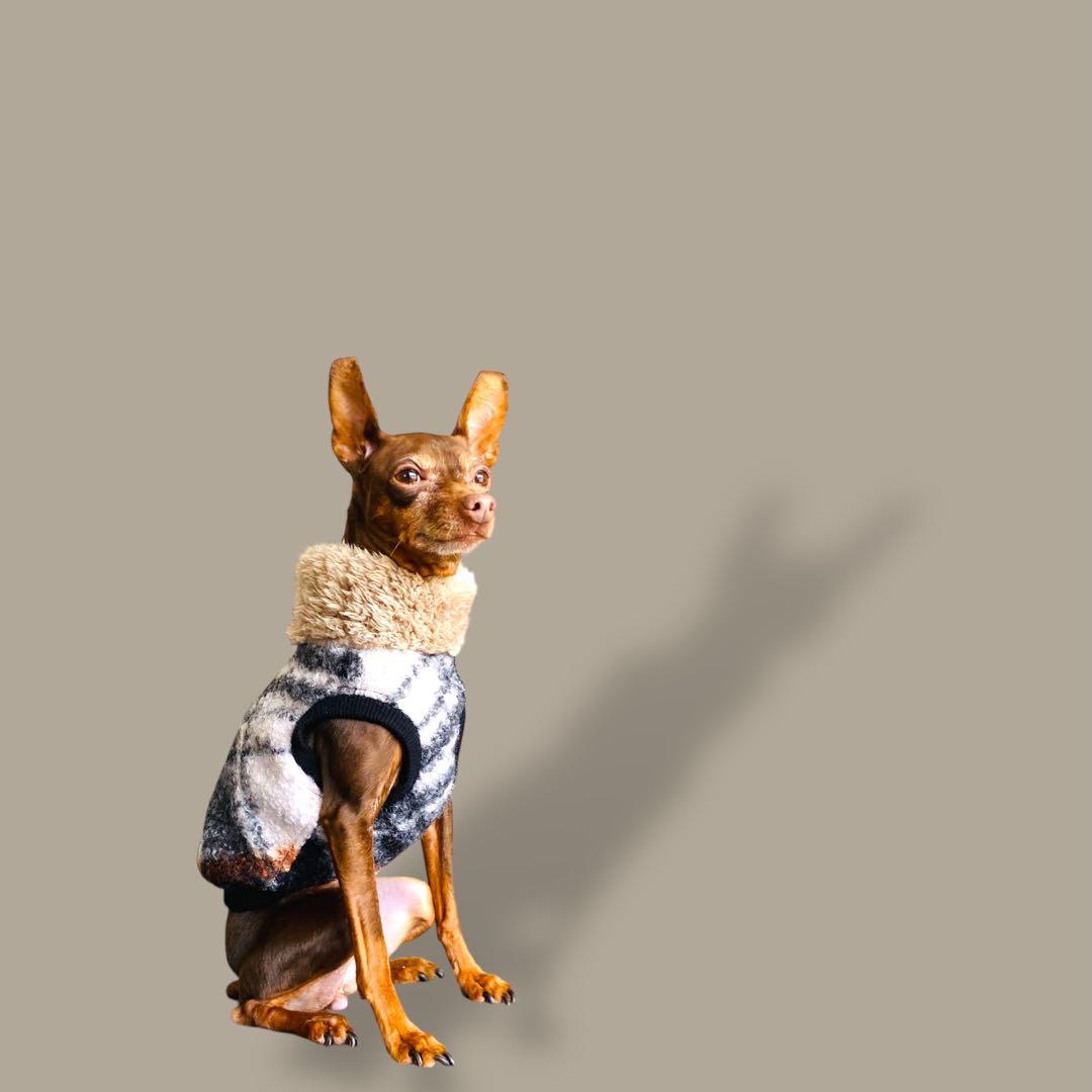 ⑬ブークレーニットショート丈ベスト