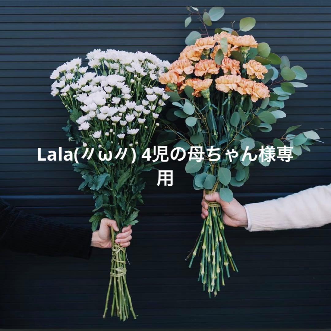 Lala(〃ω〃) 4児の母ちゃん