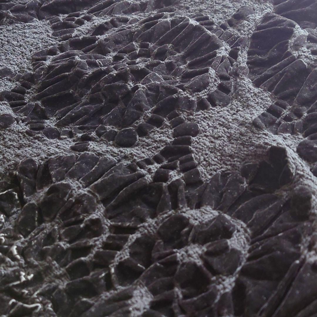 o ミー イッセイミヤケ スカート 立体 花柄 アシメ ベロア風 変形 黒